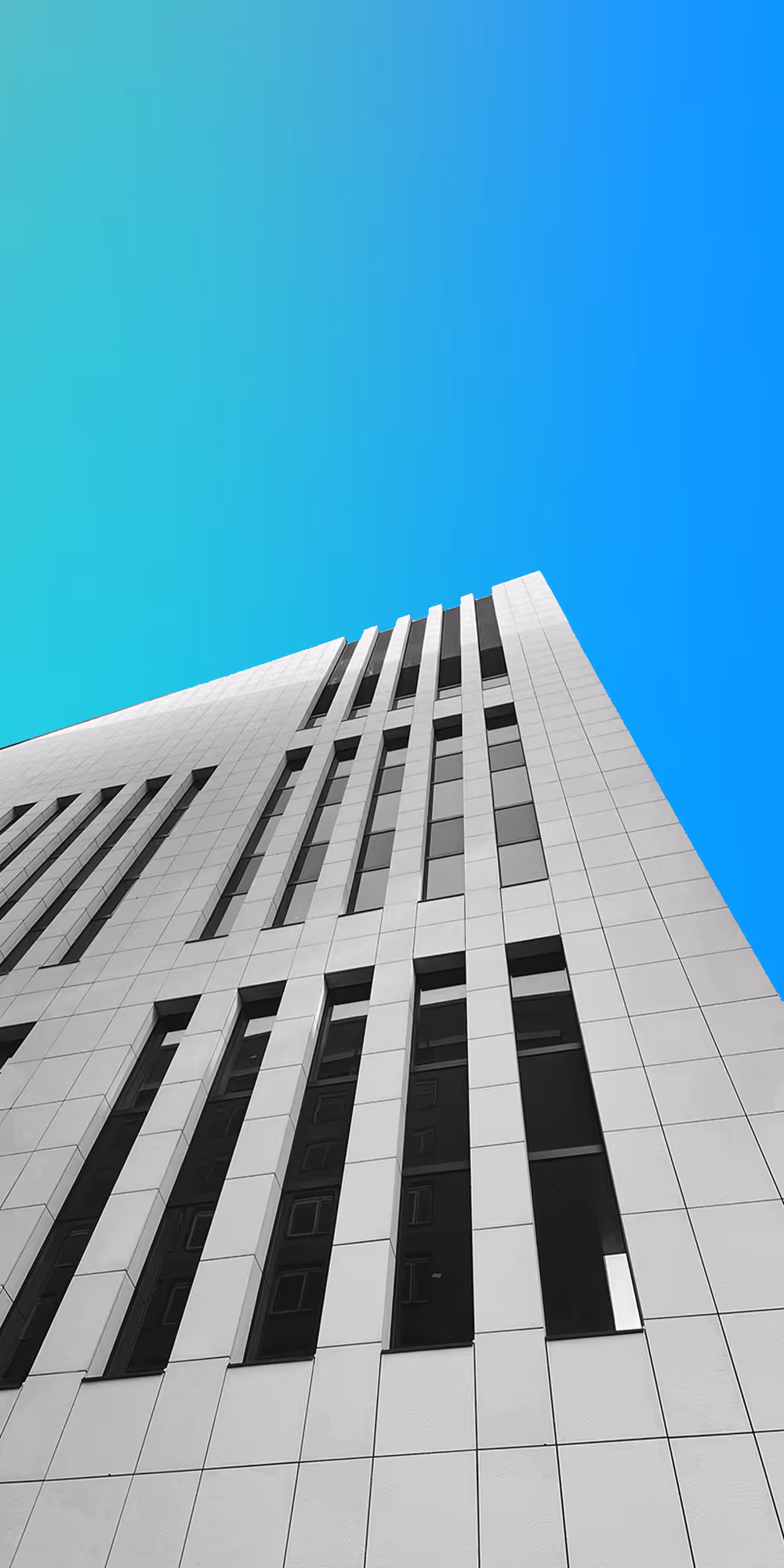 Zoral Industry Segments