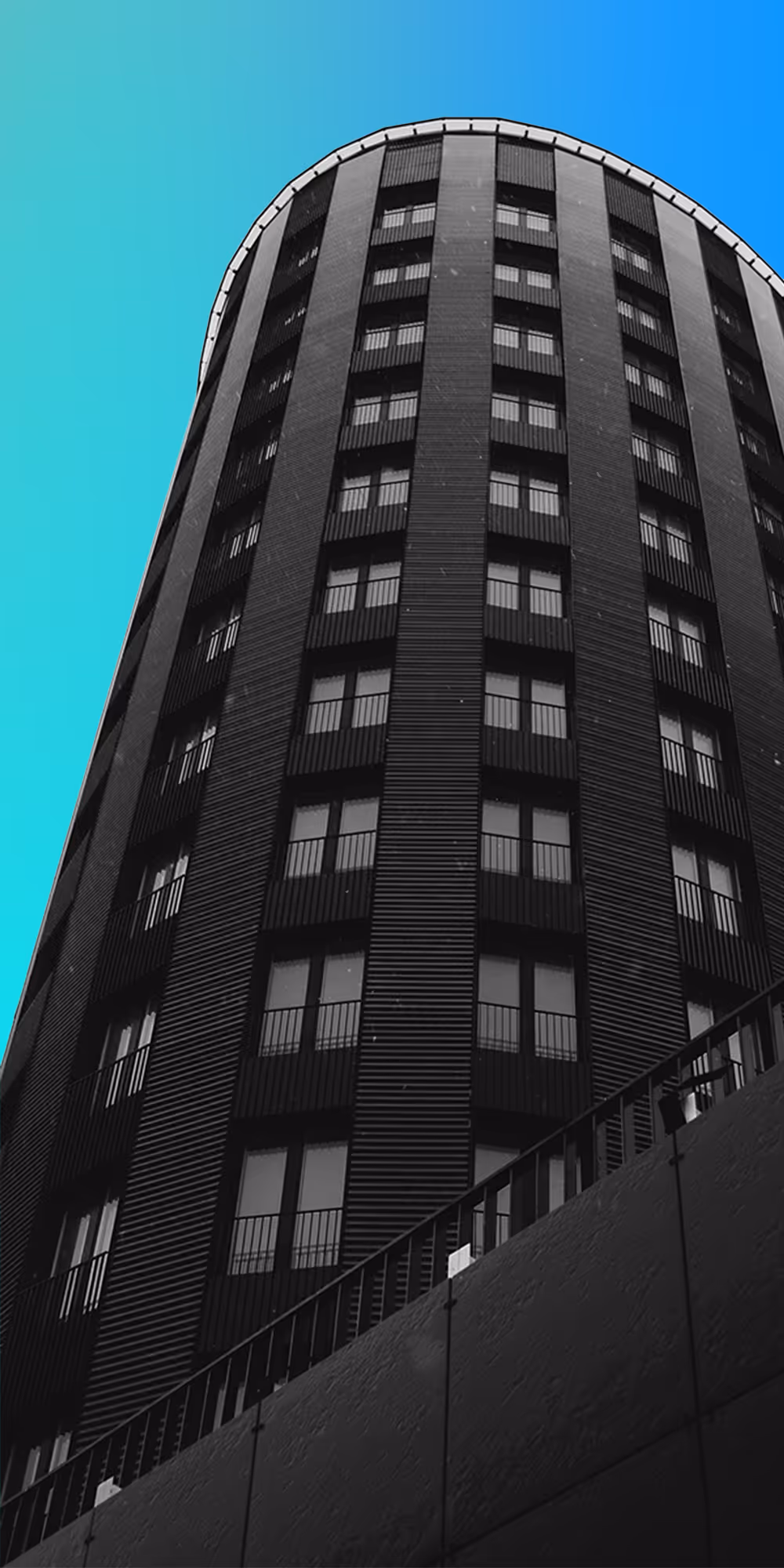 Zoral Industry Segments